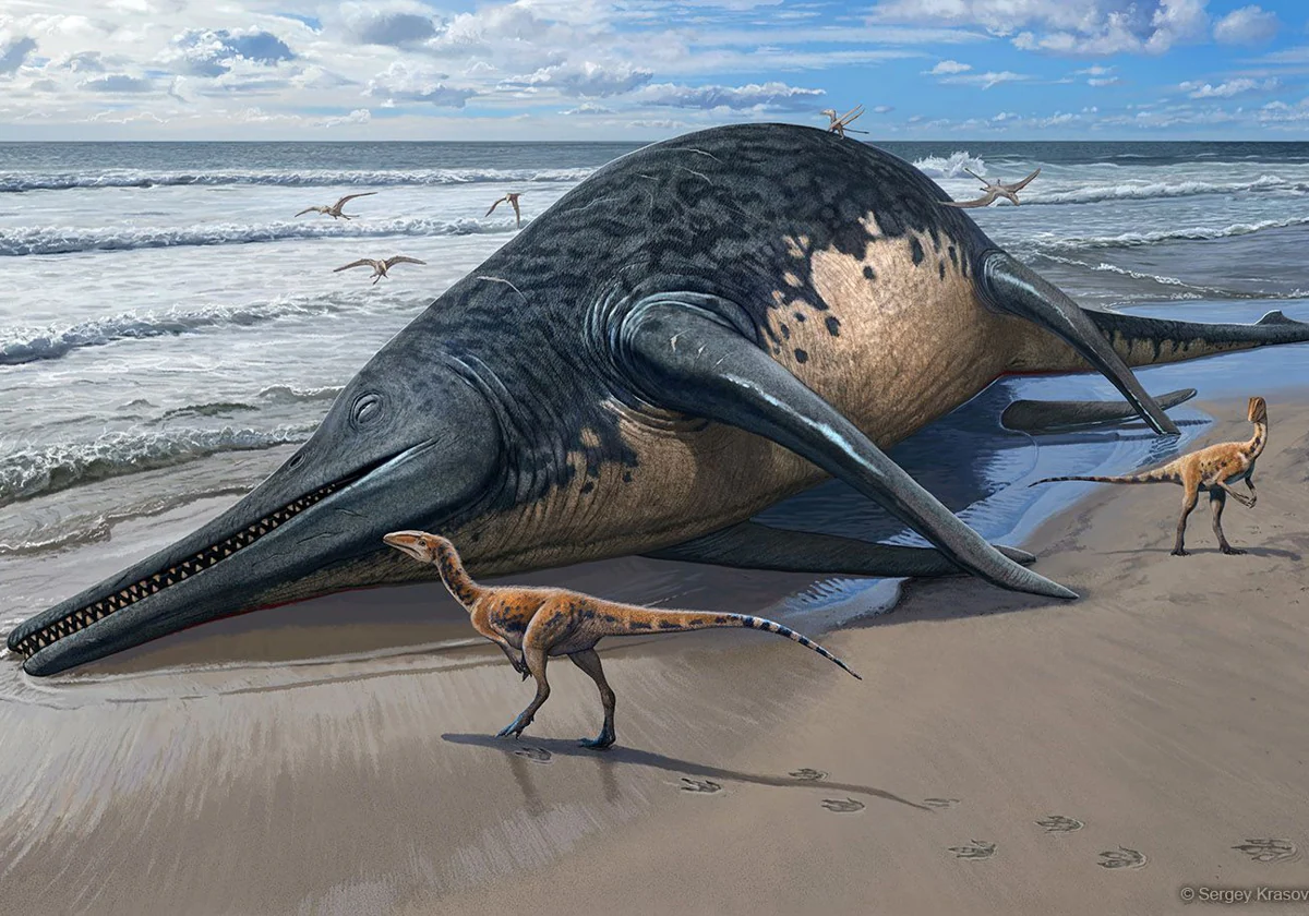 Ictiotitán: descubriendo al gigante de los océanos prehistóricos