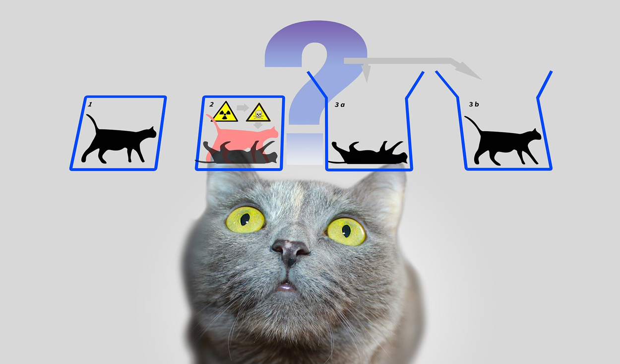 La paradoja del gato de Schrödinger: un enigma cuántico sin resolver
